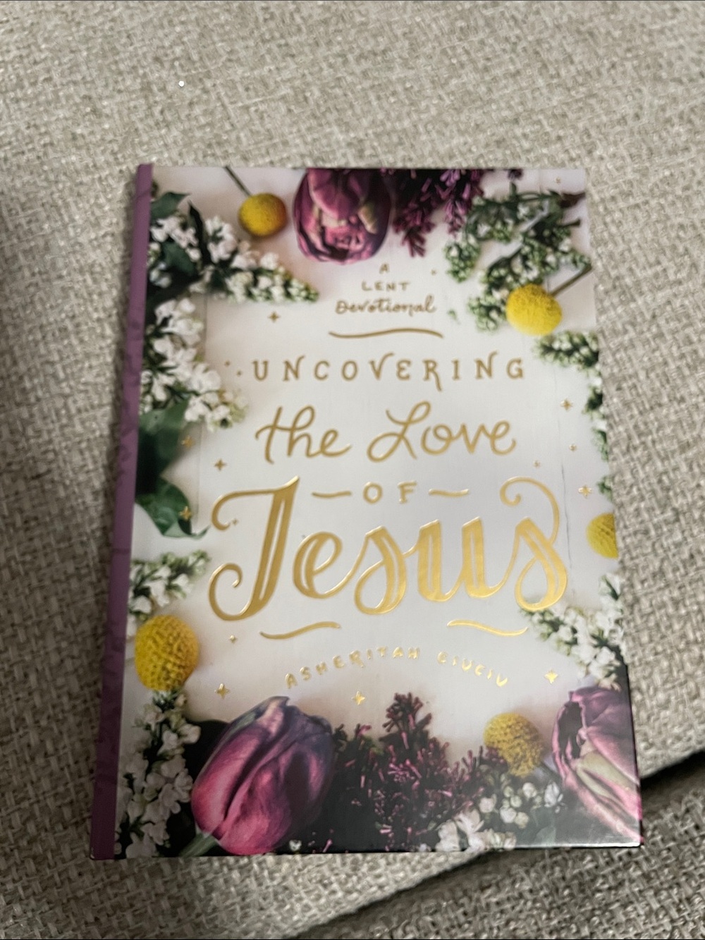 Uncovering the Love of Jesus- a Lent Devotional